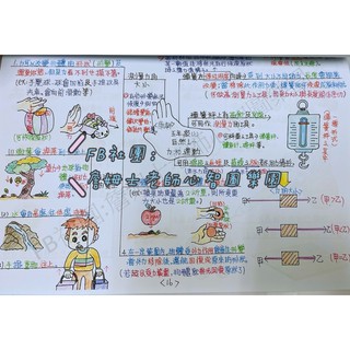 詹姆士心智圖筆記 國小5年級 上學期 各科筆記 蝦皮購物