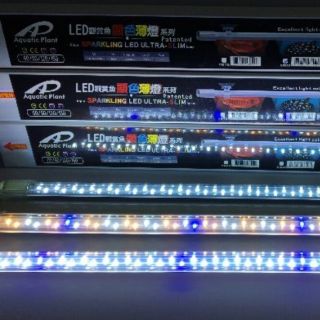 🎊🎊🇹🇼 臺灣惠弘 4尺 燈 3尺 LED 水中燈 藍白燈 魟魚燈 藍白水中燈 水中燈 白藍燈 上部藍白燈