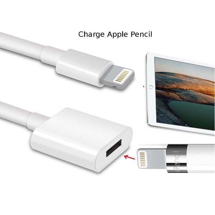 【Apple pencil延長線】蘋果Apple pencil公母延長線USB充電線蘋果筆數據線延長線音