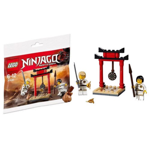 LEGO 樂高 30530 旋風忍者 Ninjago系列 目標培訓 全新未拆