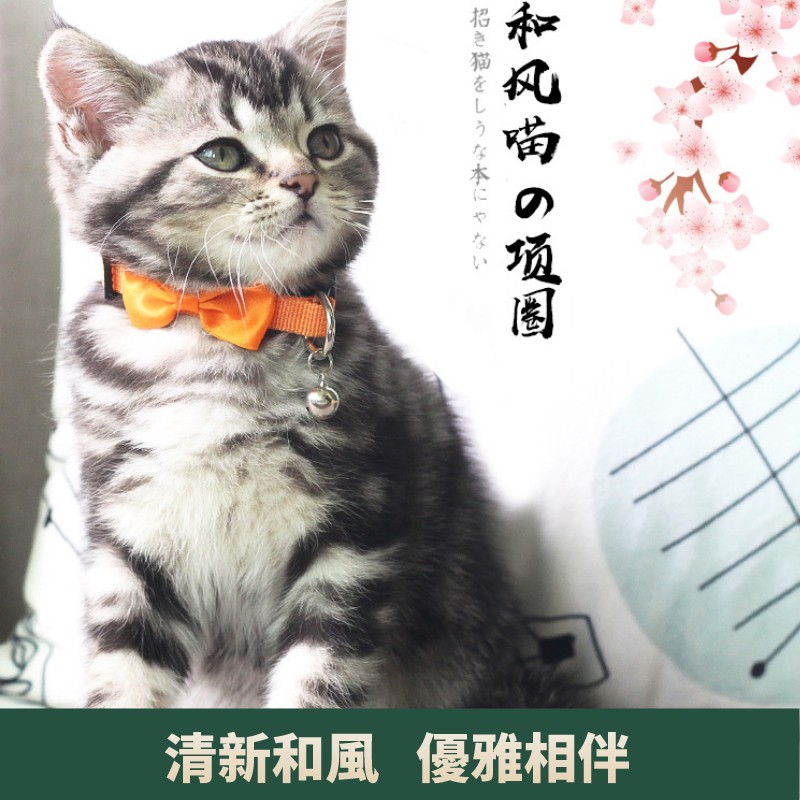 寵物項圈貓項圈鈴鐺日系和風項圈狗項圈寵物用品小型犬項圈 蝦皮購物
