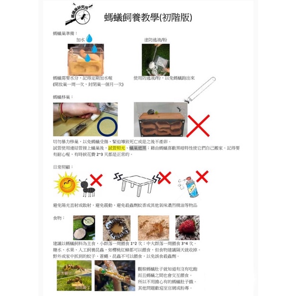 【螞蟻巢研究所】螞蟻飼養說明書  記載注意事項，紙本彩色印刷一張