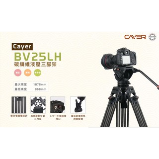 ☆王冠攝影社☆ Cayer 卡宴 BV25LH 碳纖維 75mm碗球含雲台 雙管 三腳架 攝影 錄影 拍攝(公司貨)