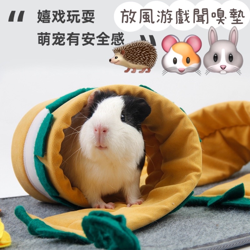 人氣推薦商品與線上折扣優惠 Lchshop樂青坊 蝦皮台灣