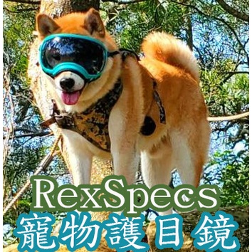 【柏斯商號】RexSpecs寵物護目鏡v2 狗狗帥氣墨鏡