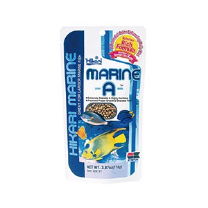 小型肉食魚 Ptt Dcard討論與高評價網拍商品 21年10月 飛比價格