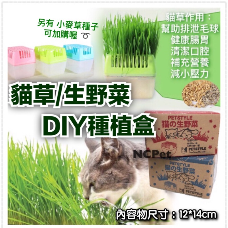 Petstyle貓の生野菜水培盒無土栽培貓草種植盒 蝦皮購物