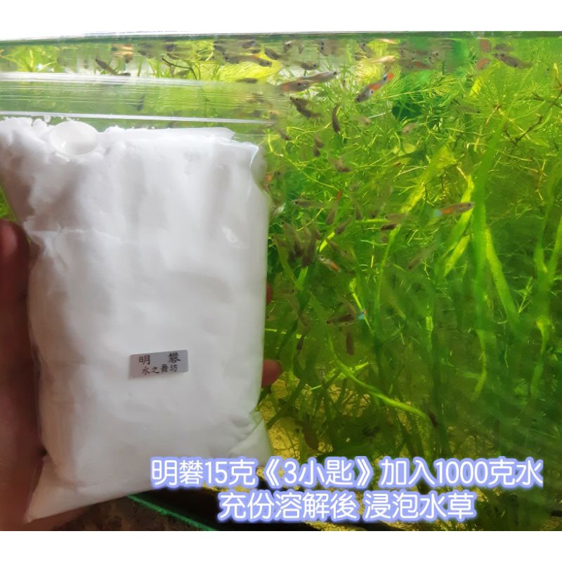 明礬明礬粉水族專用水草快速檢疫除蟲除螺有效預防 水之舞坊 蝦皮購物