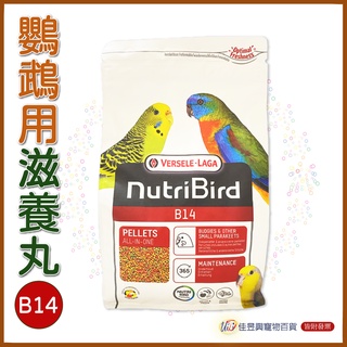 B14鸚鵡用濃縮滋養丸│凡賽爾│寵物鳥、鸚鵡用│滋養丸│輔助食品