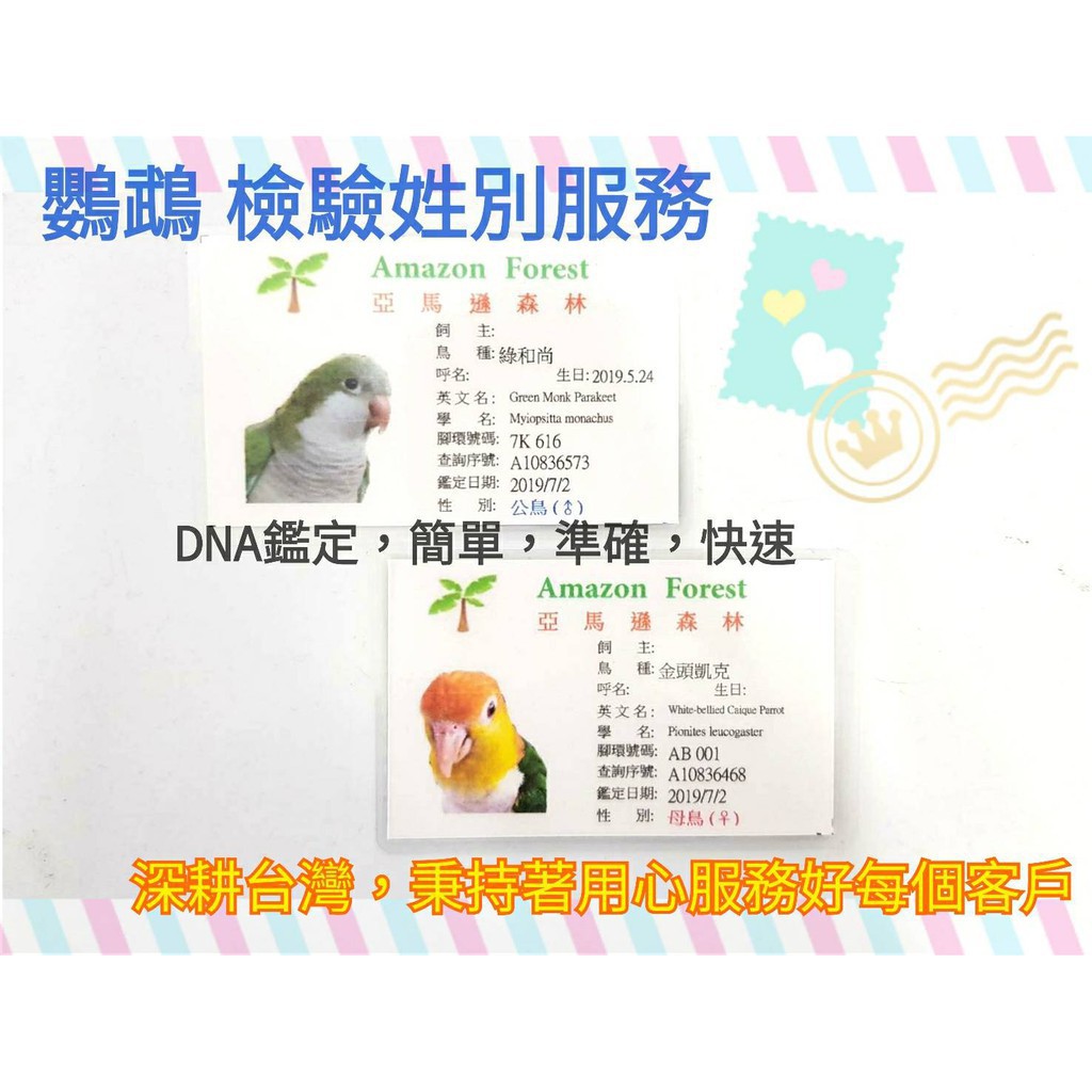 鸚鵡性別 檢驗袋-亞馬遜DNA鳥寶寶Q版身分證 DNA/性別/性別鑑定(量大檢驗者,再另外聊聊洽詢)