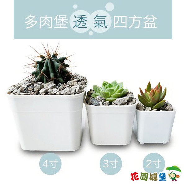 多肉花器 優惠推薦 年10月 蝦皮購物台灣