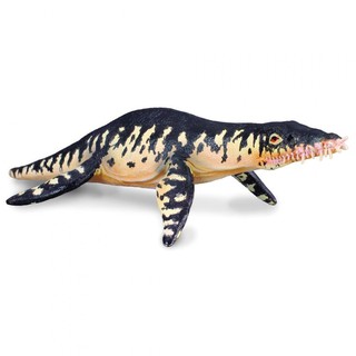 「芃芃玩具」 COLLECTA 動物模型 恐龍模型 R88237 滑齒龍 模擬 教材 教學 貨號88237
