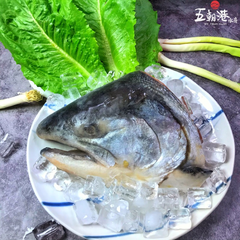 五朝港水產-老饕級鮮凍鮭魚頭