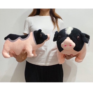 麝香豬娃娃 可愛豬玩偶 山豬 小豬 豬娃娃 抱枕 生日禮物 交換禮物