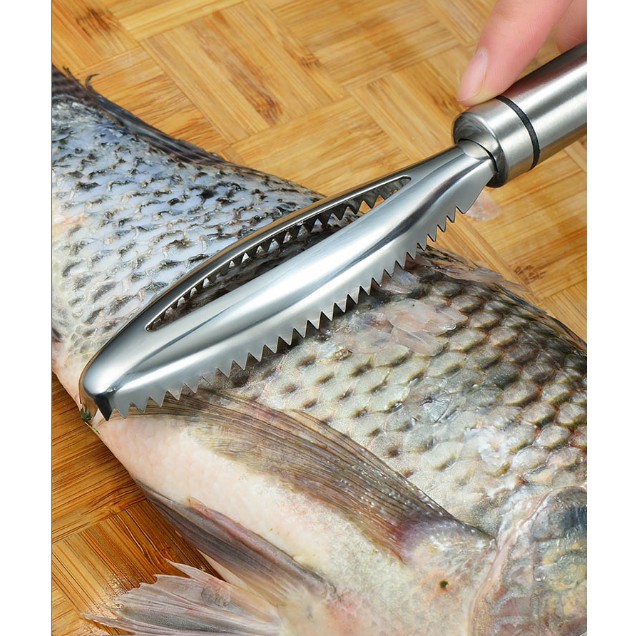 Ulker 801 新品上市 刮魚鱗神器家用魚鱗刨去魚鱗打魚鱗殺魚工具魚鱗刮刷魚鱗的魚刷子 蝦皮購物
