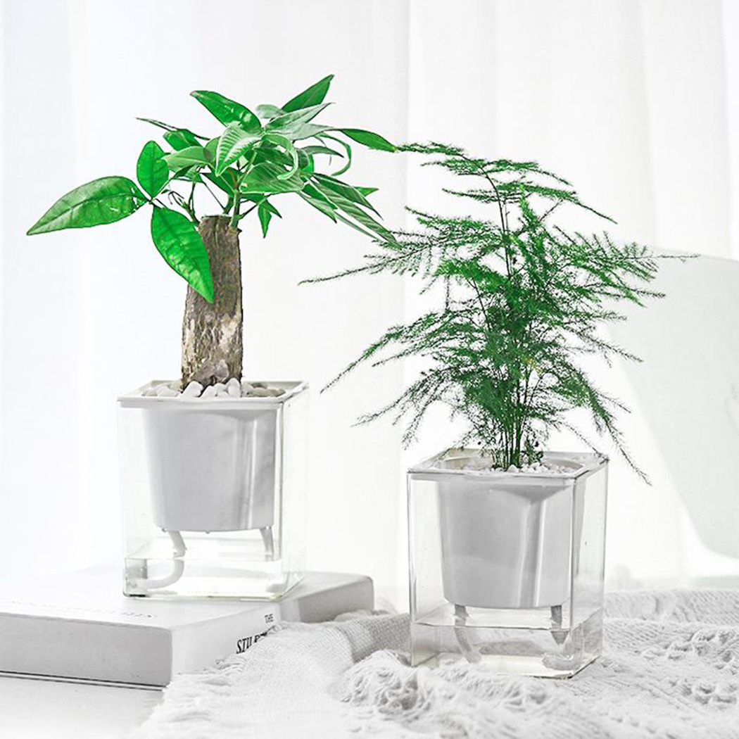 透明花盆 拍賣與ptt推薦商品 21年3月 飛比價格