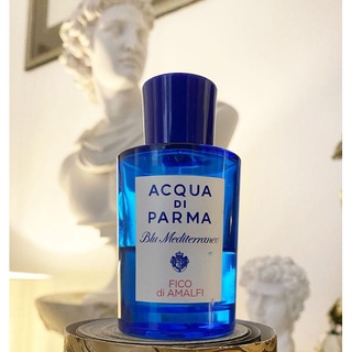 阿瑪菲無花果 Fico di Amalfi 藍色地中海 ADP 分享噴瓶