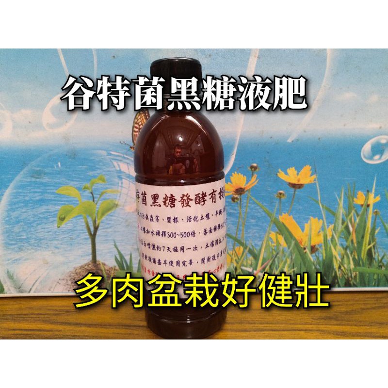 天然谷特菌黑糖發酵有機液肥 添加海藻精 多肉專用肥料 生長調節 開根 有機肥料 施達 光合菌 液體肥料 溶磷 奧綠肥 蝦皮購物