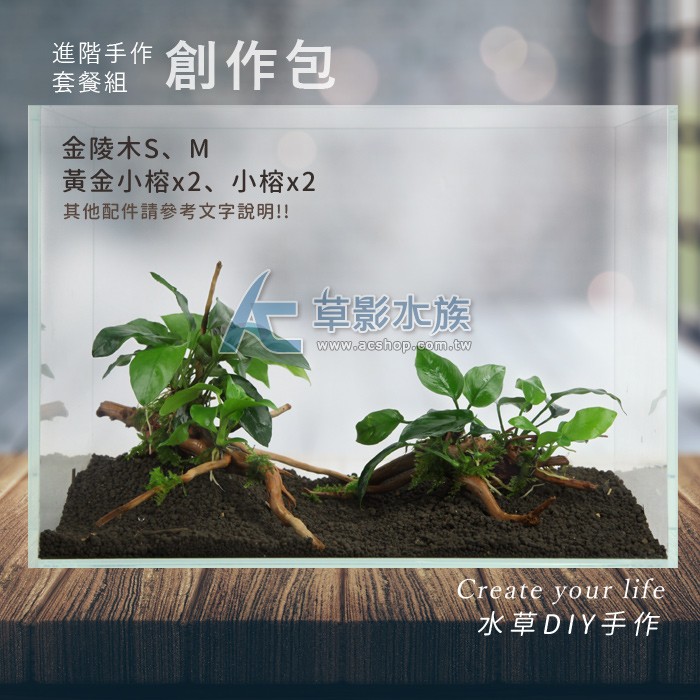 Ac草影 Diy手作進階的您創作包 套餐 一組 Diy裝飾魚缸飾品水族擺飾 蝦皮購物