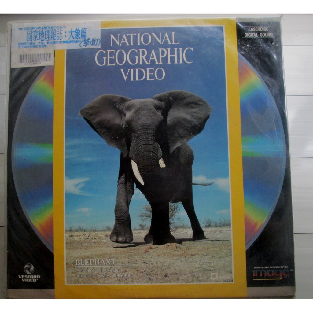 LD影碟(進口日版)~National Geographic Video-Elephant國家地理雜誌-大象篇專輯