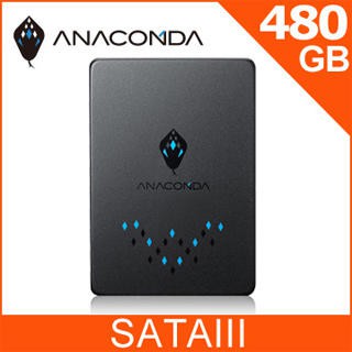 ANACOMDA巨蟒 TS 480GB SATA SSD