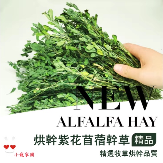 紫花苜蓿草幹草幼兔寵物兔子龍貓荷蘭豬牧草飼料苜宿草 蝦皮購物