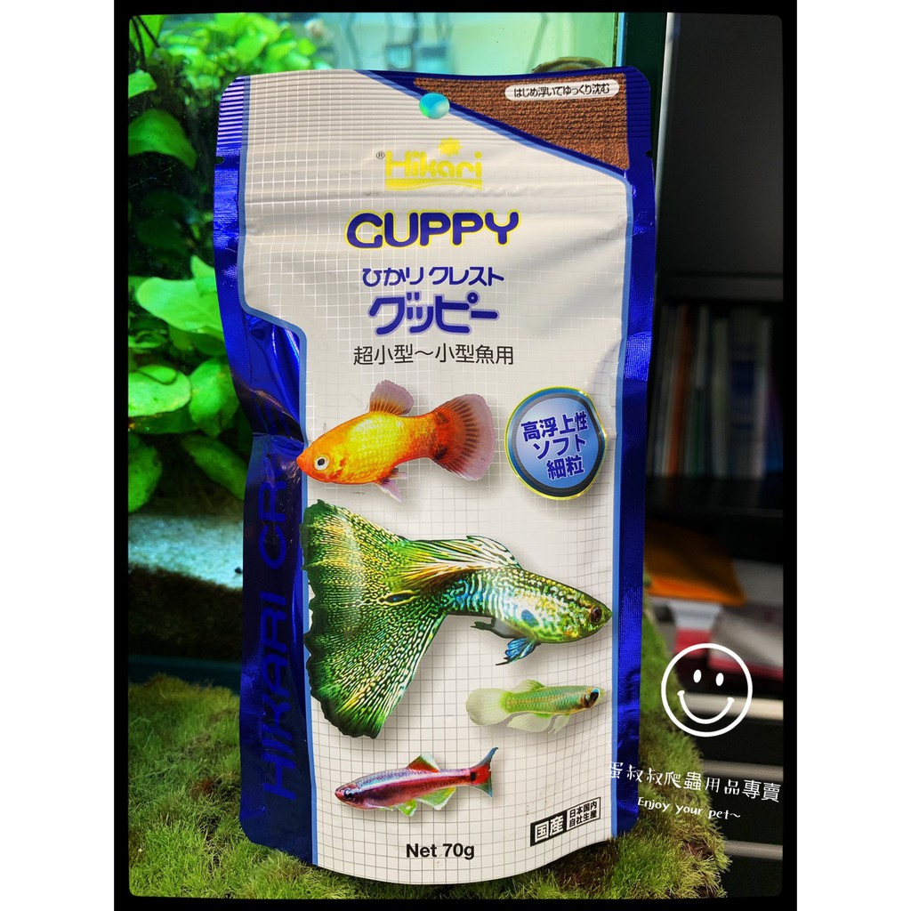 日光燈魚飼料的價格推薦 21年6月 比價比個夠biggo