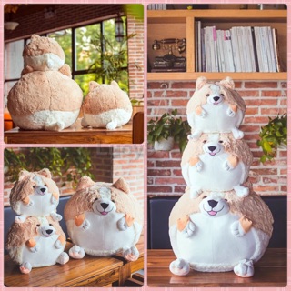 現貨臺灣寄出🐶可愛球型柯基犬抱枕 寵物狗狗玩偶 柯基抱枕 聖誕節 兒童節 生日禮物 情人節禮物