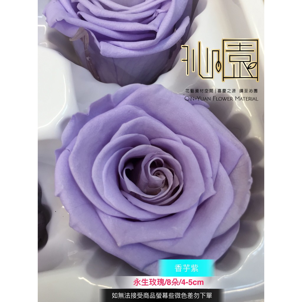 沁園 永生玫瑰 香芋紫 8朵4 5cm 蝦皮購物