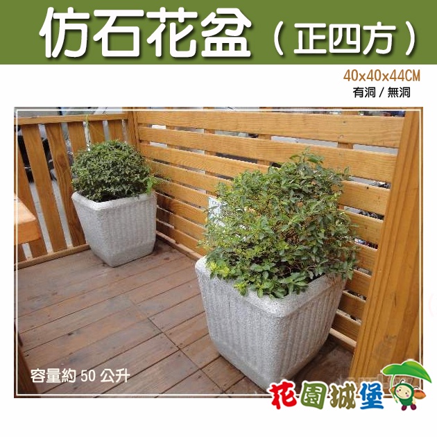 水生植物花盆的價格推薦 22年12月 比價比個夠biggo