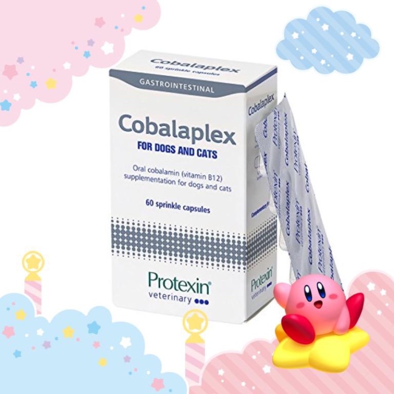 現貨！Cobalaplex 可萊適 Protexin B12 葉酸 益生菌 寵特寶