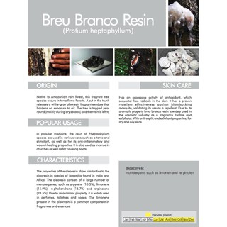 Breu Branco Resin - White Breu 布魯布蘭科樹脂/巴西乳香