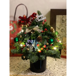 【吉娃娃花藝】聖誕節禮物 新鮮聖誕樹 冬季浪漫 雪松 松果 藍聖誕球