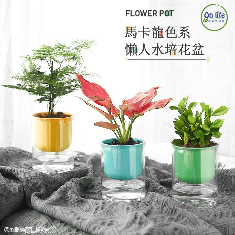 馬卡龍色懶人花盆自動吸水花盆透明水培花盆免澆水花盆創意塑料花盆懶人盆栽 蝦皮購物