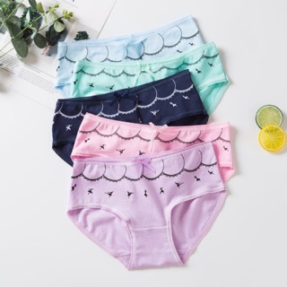 ❤My Dear 貼身衣物小舖 ❤大碼純棉芭蕾舞女內褲-A060XL