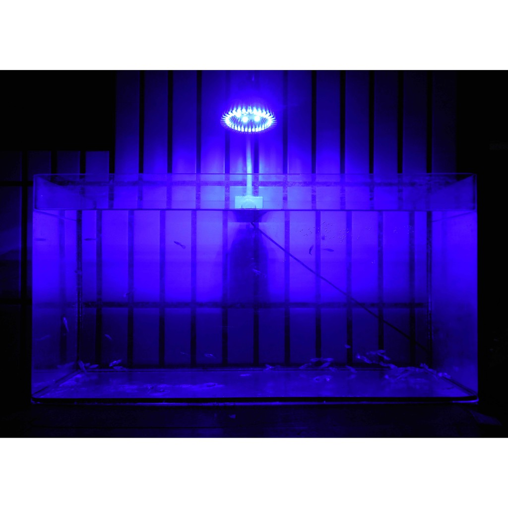 【光能LED水族燈坊】大功率LED聚光90度5X3W藍光包膠軟管水族海水珊瑚缸夾燈