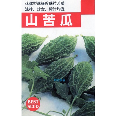 【野菜部屋~】K18 山苦瓜種子2粒 , 雌花性高 , 每包16元~