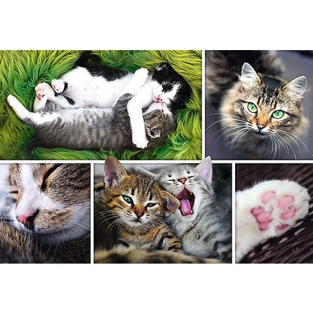 歐美進口拼圖Trefl（波蘭）/1500片/輕鬆的貓咪生活拼貼