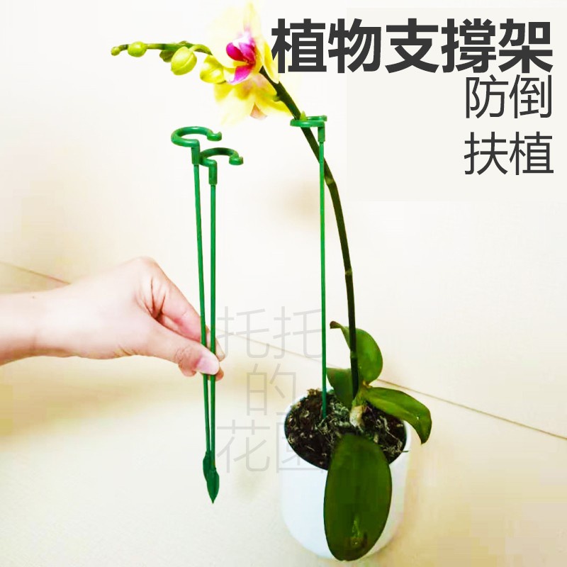 現貨 極速發貨 花箭支架植物支撐桿蘭花蝴蝶蘭防倒扶植支架爬架花支柱固定架 蝦皮購物