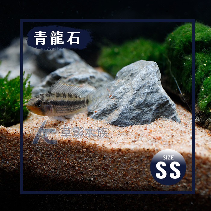 【AC草影】青龍石（SS碎石/1kg）【一份】小魚缸石景 小型魚缸造景 ADA石頭景 水草造景 魚缸造景 水族箱石頭