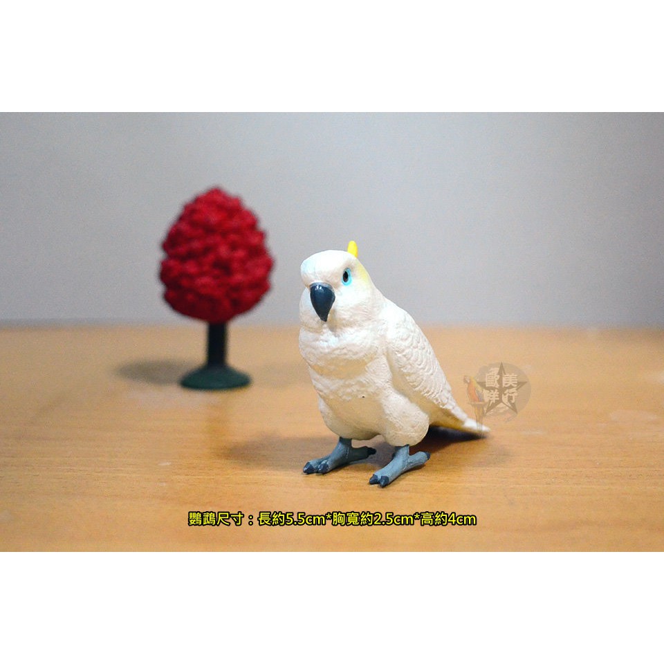 巴丹 優惠推薦 21年7月 蝦皮購物台灣