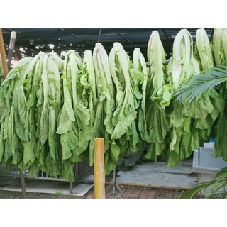 #甜大菜種子#客家芥菜種子#無絲甜大菜種子，一湯匙55元，約20g。