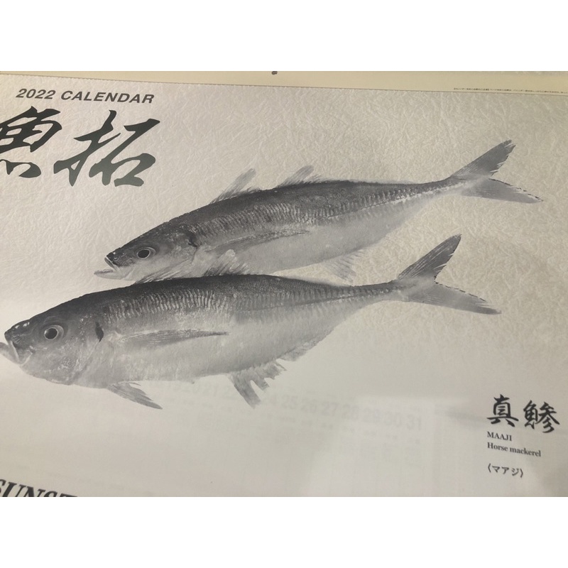 魚拓在全球的價格推薦 22年3月 比價比個夠biggo