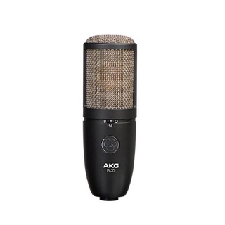 【傑夫樂器行】AKG P420 電容式麥克風 心型指向 麥克風 附原廠麥克風避震架、金屬收納硬盒 P-420