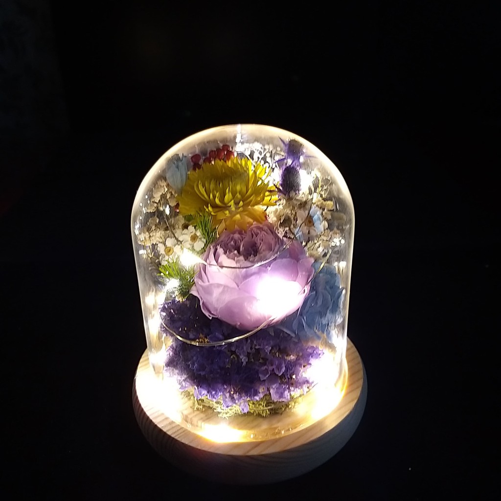 花苑子led發光玻璃盅罩發光玻璃罩玻璃花盅情人節禮物辦公室小物永生奧斯汀玫瑰玻璃盅 蝦皮購物