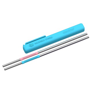 Asobu 環保不鏽鋼可彎折雙色吸管 2入組 環保 環保用品 防疫 防疫用品 送禮【現貨】聖誕節 交換禮物 創意禮物