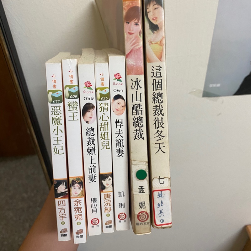 霸道總裁系列口袋小說