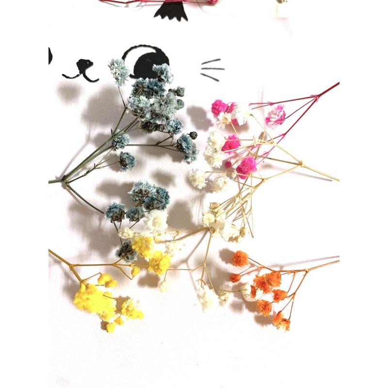 乾燥花不凋花滿天星碎花短枝散花小份量紫色粉色白色藍色綜合 蝦皮購物