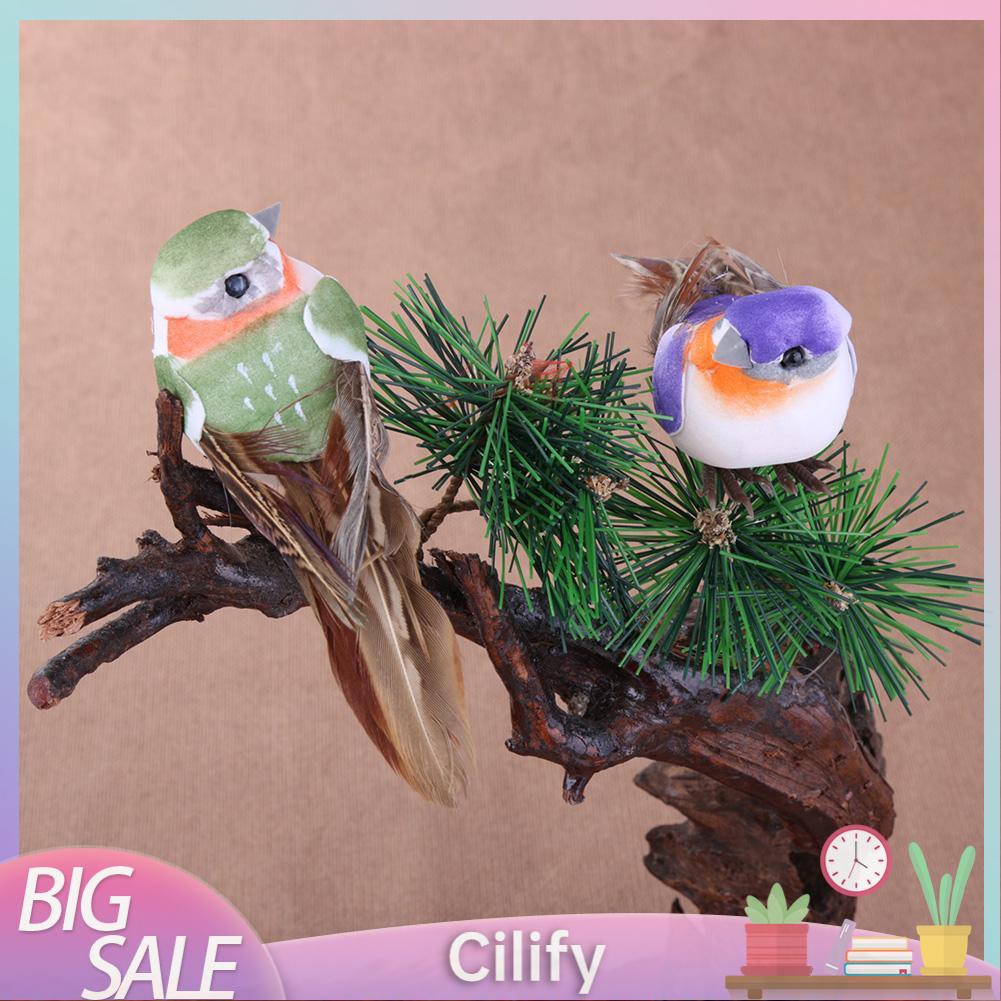 鳥羽毛 拍賣 評價與ptt熱推商品 21年4月 飛比價格