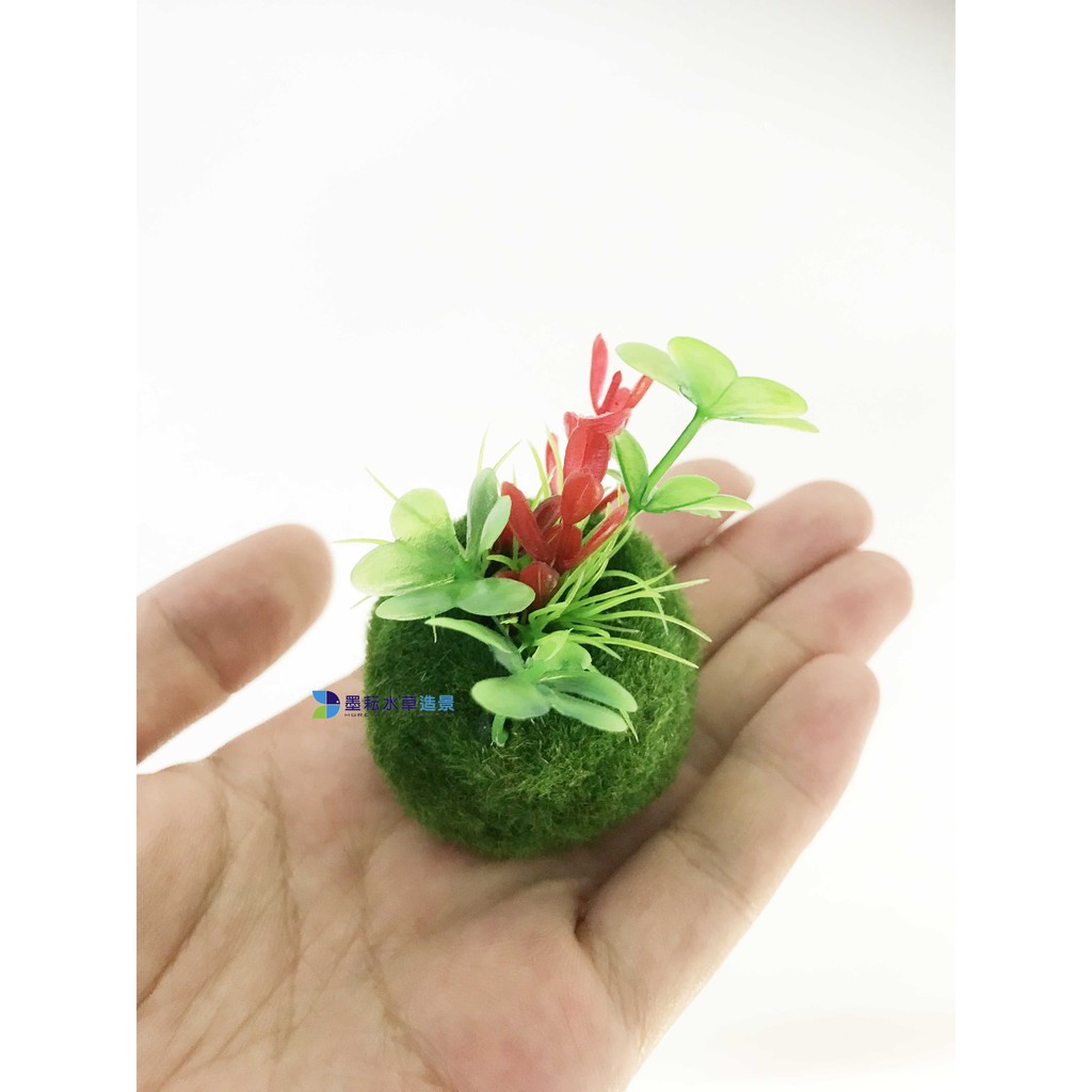 墨耘 Nisso尼索 仿真療癒系 苔玉 1顆 350 水族裝飾飾品假水草水族交換禮物 蝦皮購物